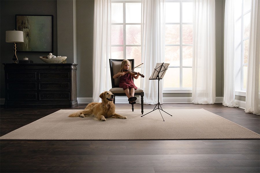 What to do if you want carpet and have dogs, with Legate's Furniture World, in Madisonville, KY
